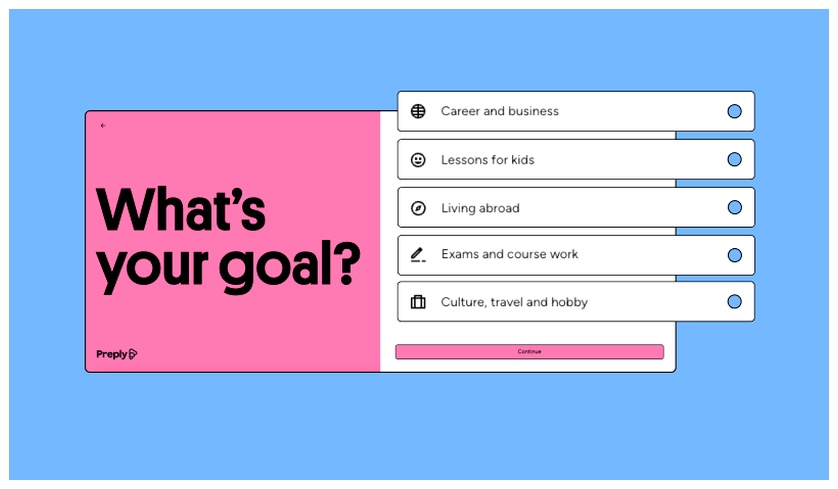 Preply questionnaire