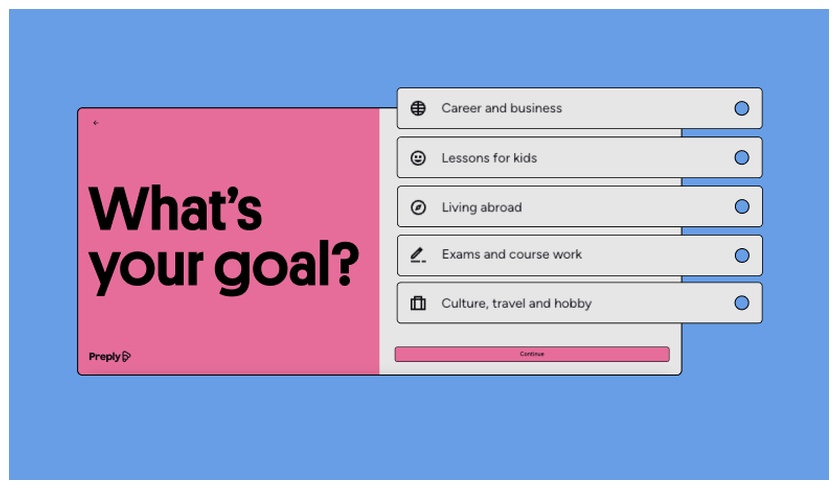 Preply questionnaire