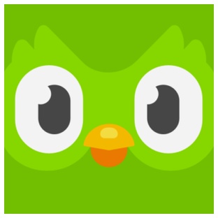 Duolingo