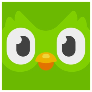 Duolingo