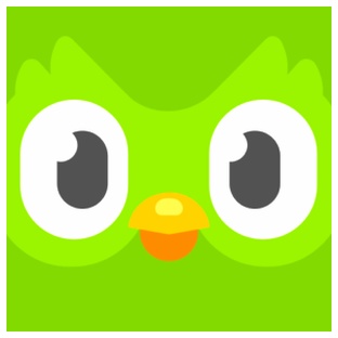 Duolingo
