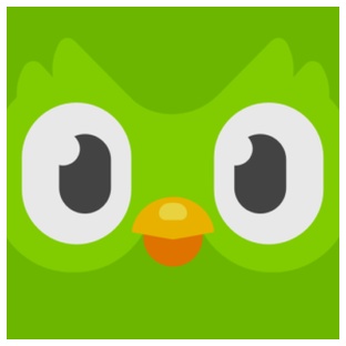 Duolingo