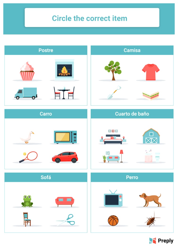 Circle the correct item activity