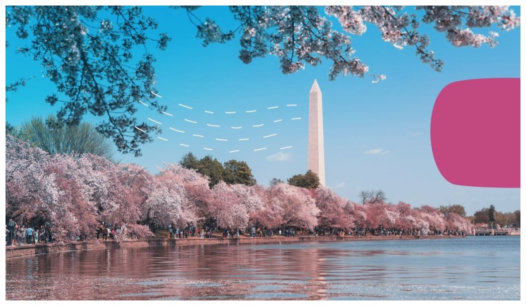 Washington DC