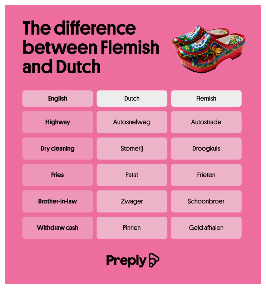 infographic with differences between dutch and flemish