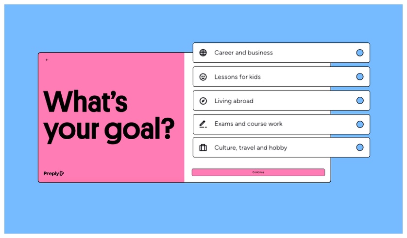Preply questionnaire