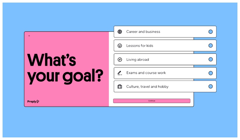 Preply questionnaire