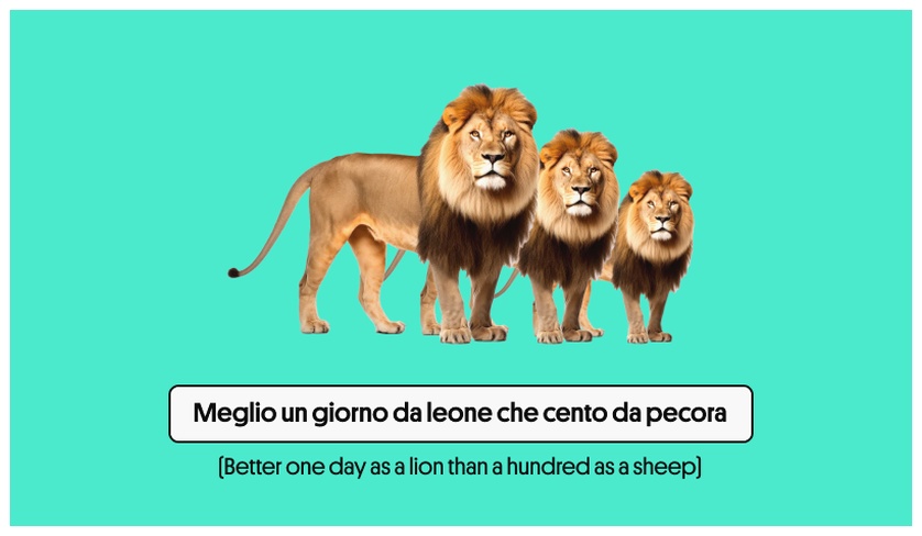 Lions