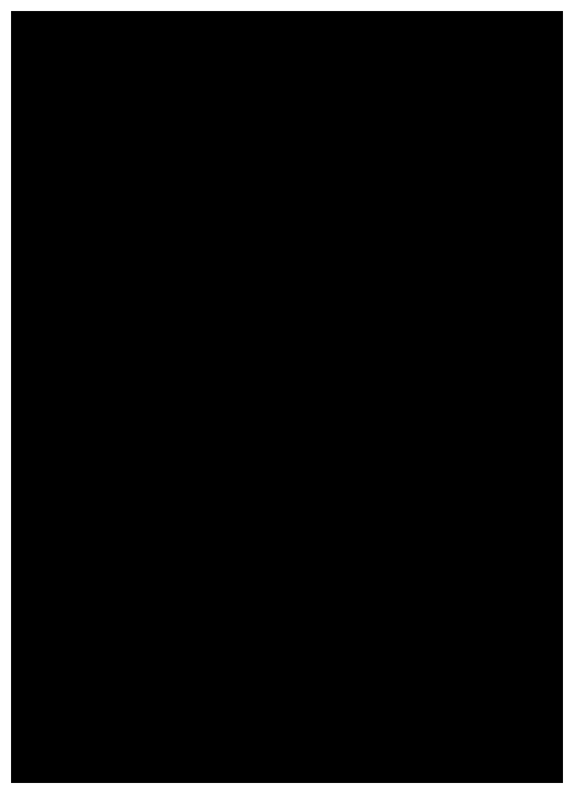 Chinese script