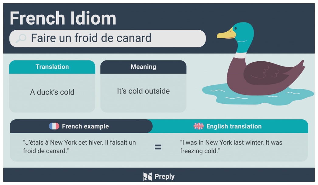 faire un froid de canard idiom