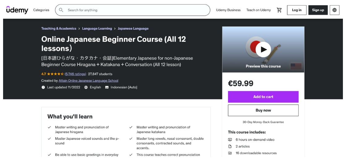 Udemy japanese course