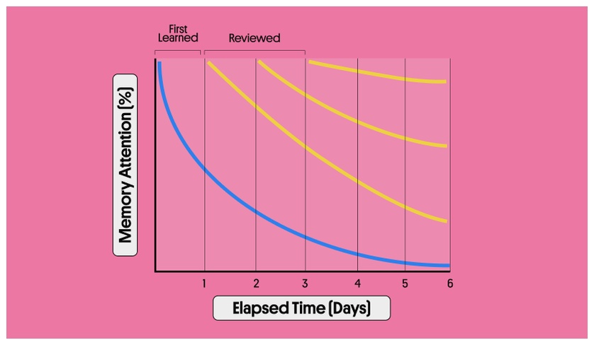 Infographic about How subsequent reviews extend the forgetting curve